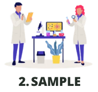 2. Sample